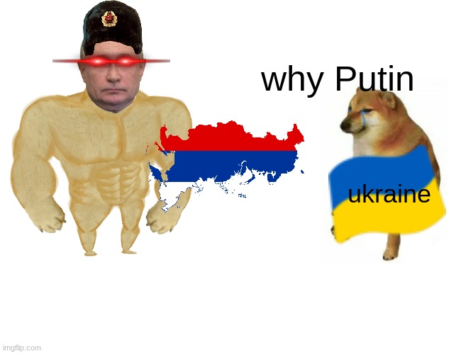 rip ukraine | why Putin; ukraine | image tagged in memes,buff doge vs cheems | made w/ Imgflip meme maker