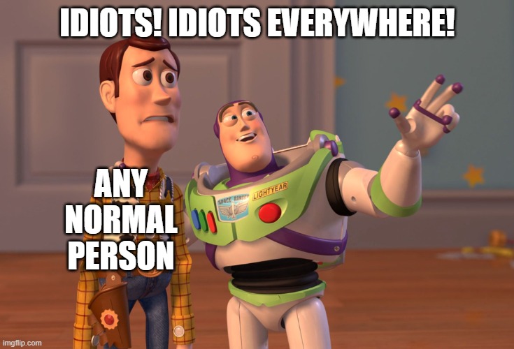 Idiots | IDIOTS! IDIOTS EVERYWHERE! ANY NORMAL PERSON | image tagged in memes,x x everywhere | made w/ Imgflip meme maker