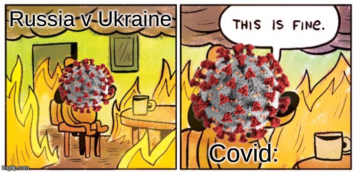 This Is Fine | Russia v Ukraine; Covid: | image tagged in memes,this is fine | made w/ Imgflip meme maker