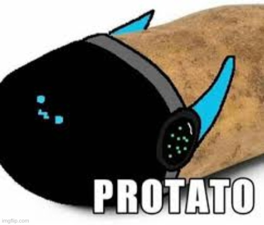 P R O TA T O | image tagged in furry | made w/ Imgflip meme maker