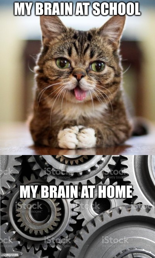 My brain at School VS my 700i q brain at home | MY BRAIN AT SCHOOL; MY BRAIN AT HOME | image tagged in lol so funny | made w/ Imgflip meme maker