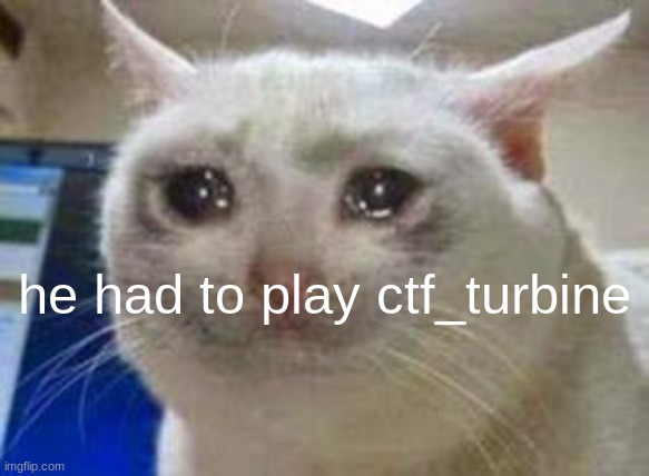 Sad cat | he had to play ctf_turbine | image tagged in sad cat | made w/ Imgflip meme maker