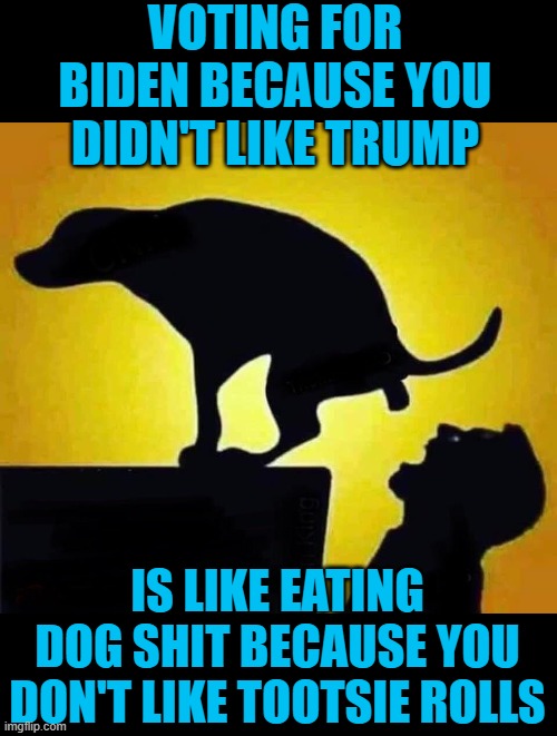 Open wide | VOTING FOR BIDEN BECAUSE YOU DIDN'T LIKE TRUMP; IS LIKE EATING DOG SHIT BECAUSE YOU DON'T LIKE TOOTSIE ROLLS | image tagged in dog shit in mouth,joe biden,stupid people | made w/ Imgflip meme maker