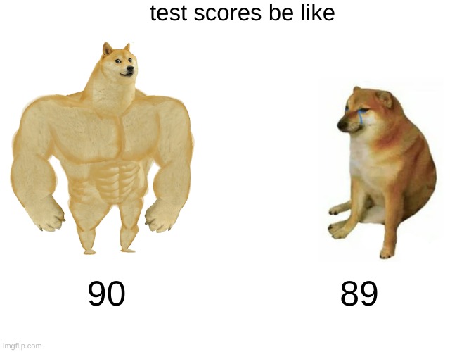 Buff Doge vs. Cheems | test scores be like; 90; 89 | image tagged in memes,buff doge vs cheems | made w/ Imgflip meme maker