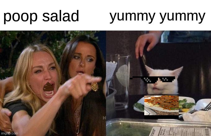 Woman Yelling At Cat Meme | poop salad; yummy yummy | image tagged in memes,woman yelling at cat | made w/ Imgflip meme maker