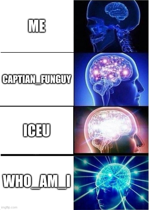 idk how to spell but pls comment | ME; CAPTIAN_FUNGUY; ICEU; WHO_AM_I | image tagged in memes,expanding brain,who am i,iceu,funguy,idk | made w/ Imgflip meme maker