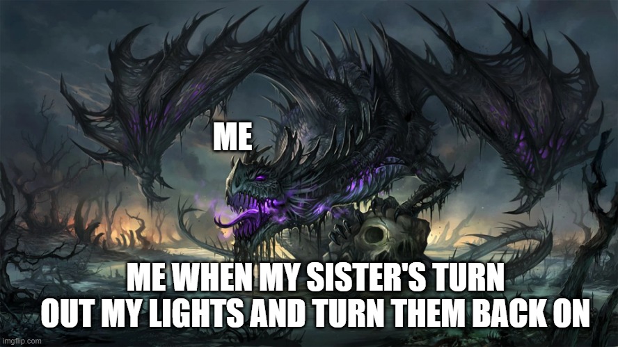 Lights back on | ME; ME WHEN MY SISTER'S TURN OUT MY LIGHTS AND TURN THEM BACK ON | image tagged in memes | made w/ Imgflip meme maker