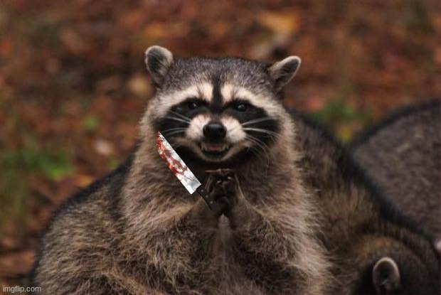 evil genius racoon | image tagged in evil genius racoon | made w/ Imgflip meme maker