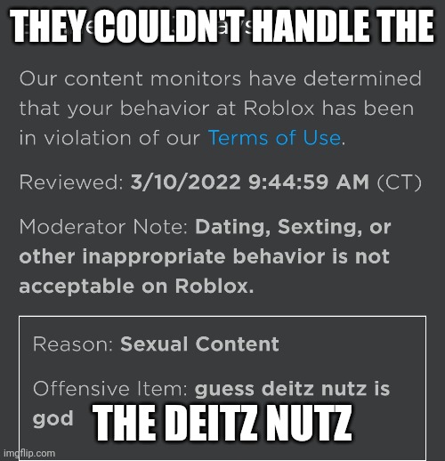 "sexual content" | THEY COULDN'T HANDLE THE; THE DEITZ NUTZ | image tagged in memes,roblox meme | made w/ Imgflip meme maker