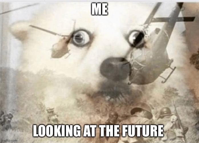 War | ME; LOOKING AT THE FUTURE | image tagged in ptsd dog | made w/ Imgflip meme maker