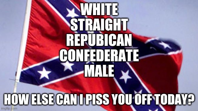 Confederate Flag |  WHITE
STRAIGHT
REPUBICAN
CONFEDERATE
MALE; HOW ELSE CAN I PISS YOU OFF TODAY? | image tagged in confederate flag | made w/ Imgflip meme maker