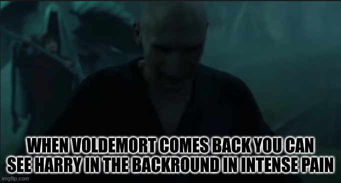 harry potter | WHEN VOLDEMORT COMES BACK YOU CAN SEE HARRY IN THE BACKROUND IN INTENSE PAIN | image tagged in harry potter | made w/ Imgflip meme maker