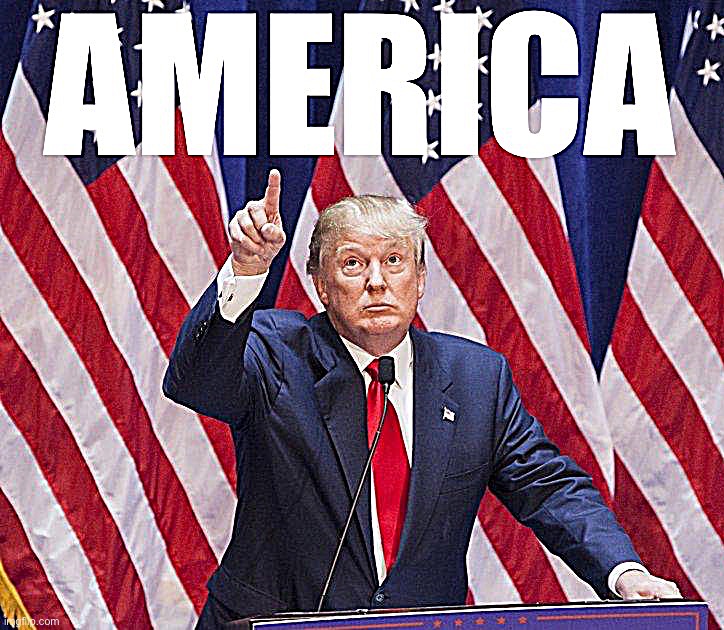 — America, it’s so true — | image tagged in donald trump america | made w/ Imgflip meme maker