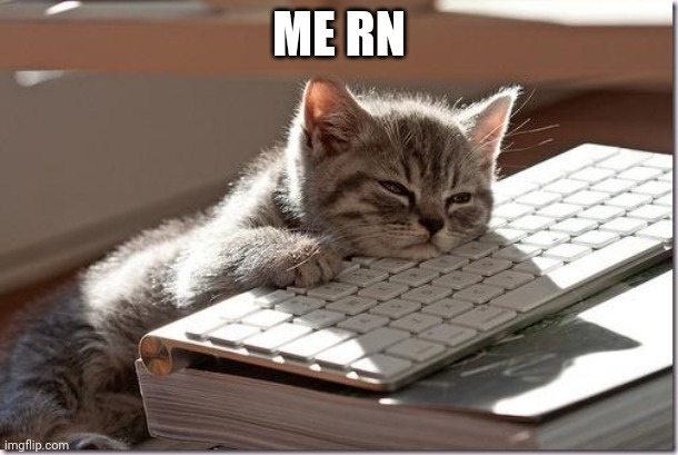 I'm bored af | ME RN | image tagged in bored keyboard cat | made w/ Imgflip meme maker
