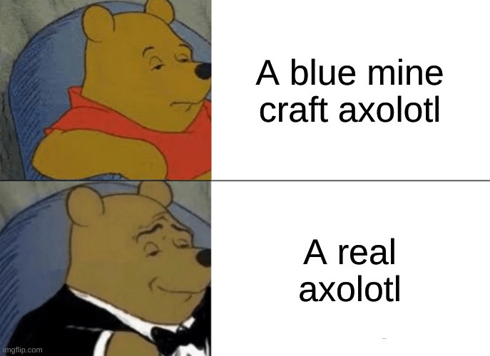 A X O L O T L | A blue mine craft axolotl; A real axolotl | image tagged in memes,tuxedo winnie the pooh | made w/ Imgflip meme maker