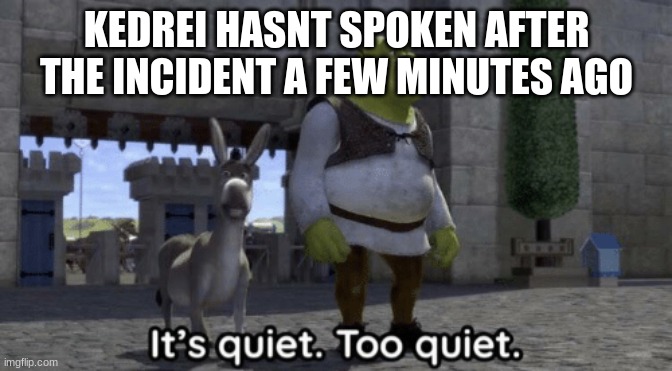 or am i just paranoid | KEDREI HASNT SPOKEN AFTER THE INCIDENT A FEW MINUTES AGO | made w/ Imgflip meme maker