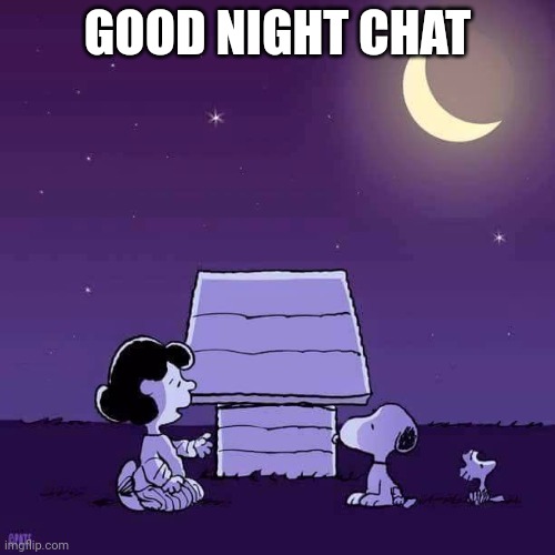 Gn, you guys. | GOOD NIGHT CHAT | image tagged in good night | made w/ Imgflip meme maker