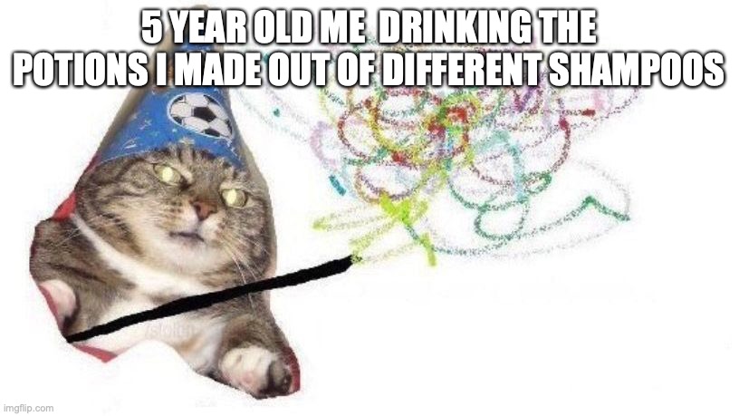 Wizard Cat | 5 YEAR OLD ME  DRINKING THE POTIONS I MADE OUT OF DIFFERENT SHAMPOOS | image tagged in wizard cat | made w/ Imgflip meme maker