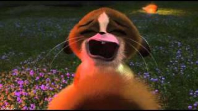 Mort crying | image tagged in mort crying | made w/ Imgflip meme maker