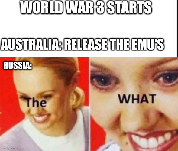 WORLD WAR 3 STARTS; AUSTRALIA: RELEASE THE EMU'S; RUSSIA: | image tagged in the what,ww3,australia | made w/ Imgflip meme maker