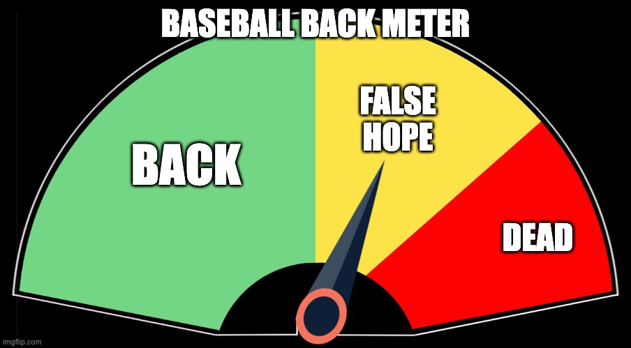 Baseball Back Meter | BASEBALL BACK METER; FALSE
HOPE; BACK; DEAD | image tagged in blank meter | made w/ Imgflip meme maker