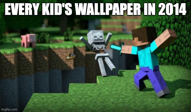 minecraft swordsman  | EVERY KID'S WALLPAPER IN 2014 | image tagged in minecraft swordsman | made w/ Imgflip meme maker