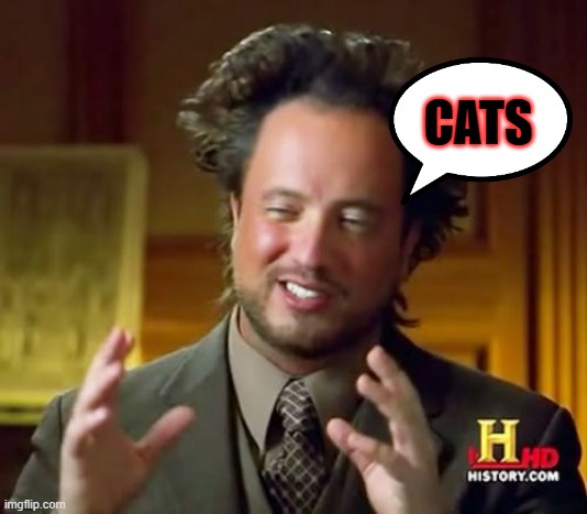 Ancient Aliens Meme | CATS | image tagged in memes,ancient aliens | made w/ Imgflip meme maker