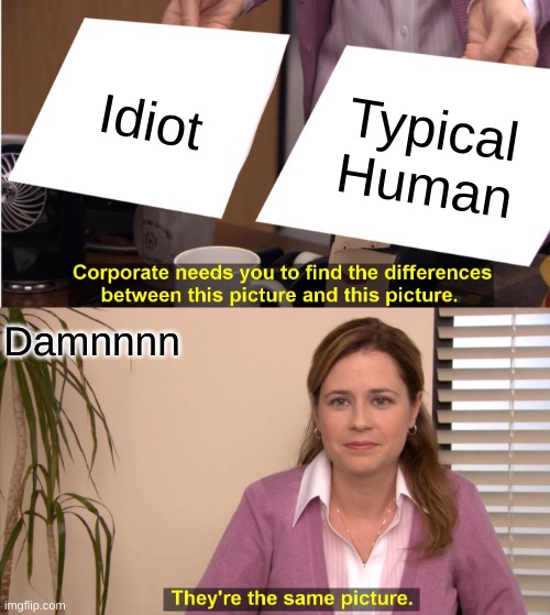 They're The Same Picture | Idiot; Typical Human; Damnnnn | image tagged in memes,they're the same picture | made w/ Imgflip meme maker