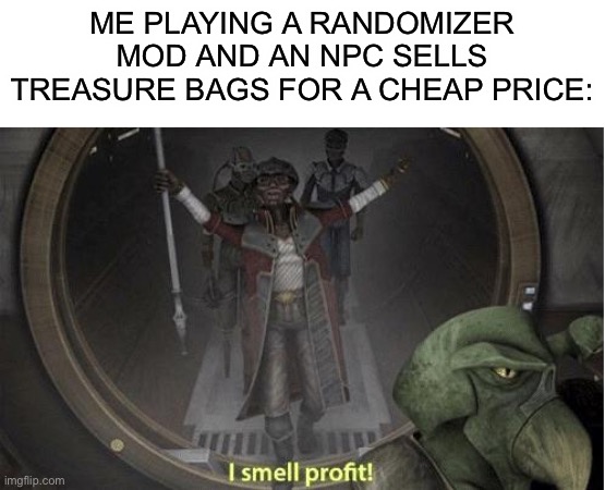 Treasure bag is 50 silver, buy and open it, and sell the drops for around 5-20 gold, and get the bonus gold that the boss drops | ME PLAYING A RANDOMIZER MOD AND AN NPC SELLS TREASURE BAGS FOR A CHEAP PRICE: | image tagged in i smell profit | made w/ Imgflip meme maker