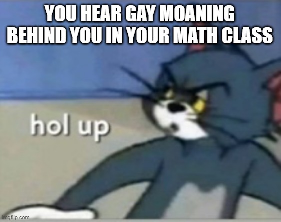 Hol up | YOU HEAR GAY MOANING BEHIND YOU IN YOUR MATH CLASS | image tagged in hol up | made w/ Imgflip meme maker