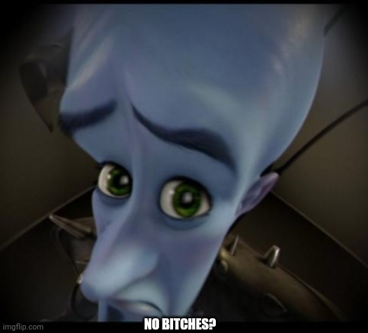 Megamind peeking | NO BITCHES? | image tagged in no bitches | made w/ Imgflip meme maker