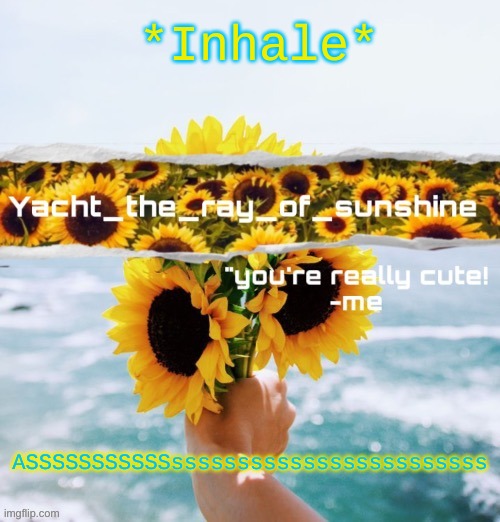 yacht's sunflower temp (THANK YOU SUGA) | *Inhale*; ASSSSSSSSSSSssssssssssssssssssssssss | image tagged in yacht's sunflower temp thank you suga | made w/ Imgflip meme maker