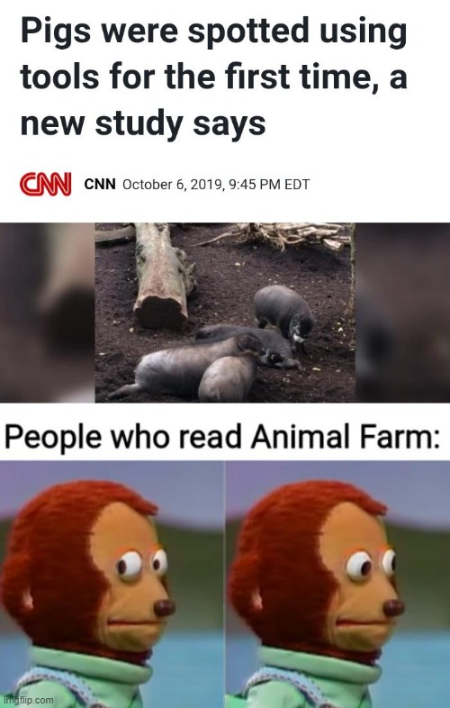 (Not my meme, randomly found it when I was on bing) But if you know, you know | made w/ Imgflip meme maker