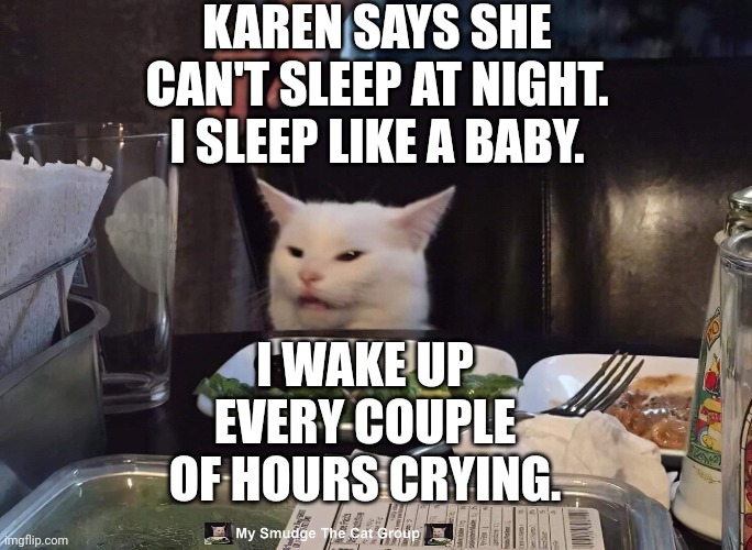 KAREN SAYS SHE CAN'T SLEEP AT NIGHT. I SLEEP LIKE A BABY. I WAKE UP EVERY COUPLE OF HOURS CRYING. | image tagged in smudge the cat | made w/ Imgflip meme maker