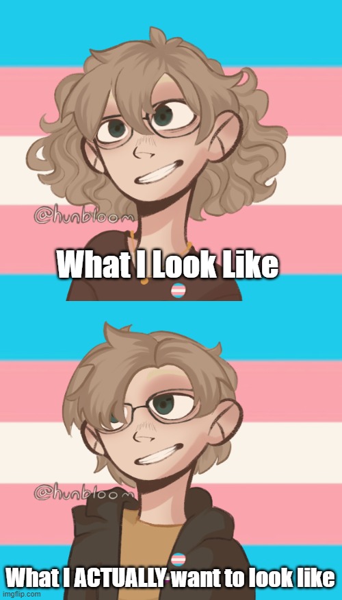 What I Look Like; What I ACTUALLY want to look like | image tagged in blank white template | made w/ Imgflip meme maker