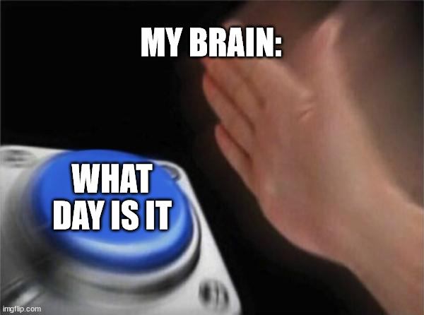 true | MY BRAIN:; WHAT DAY IS IT | image tagged in memes,blank nut button,relatable | made w/ Imgflip meme maker