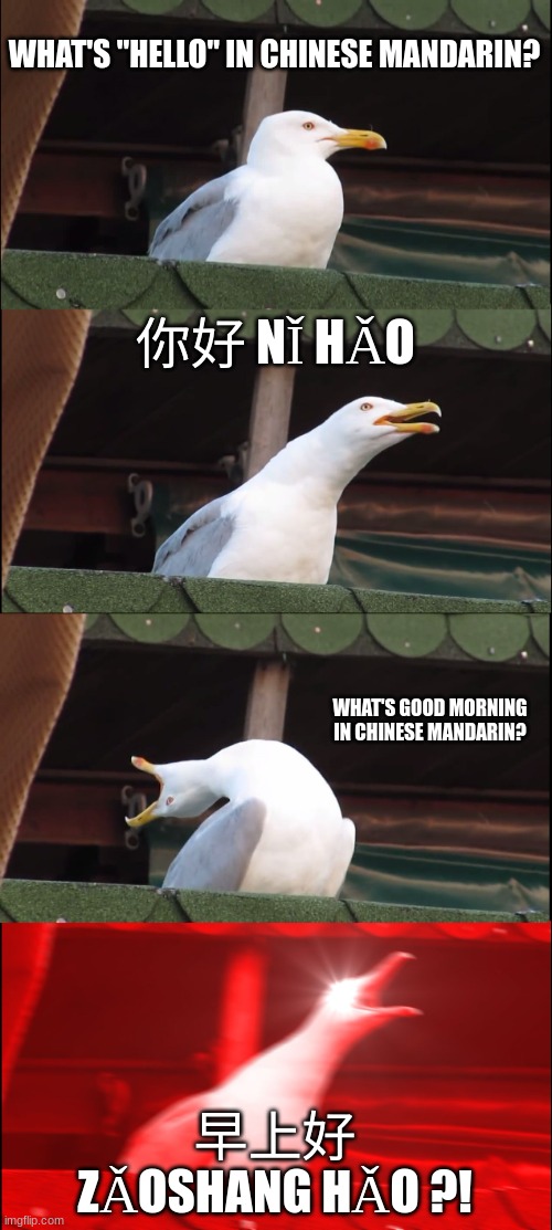 Me when I learn Chinese Mandarin | WHAT'S "HELLO" IN CHINESE MANDARIN? 你好 NǏ HǍO; WHAT'S GOOD MORNING IN CHINESE MANDARIN? 早上好
ZǍOSHANG HǍO ?! | image tagged in memes,inhaling seagull,chinese,china | made w/ Imgflip meme maker