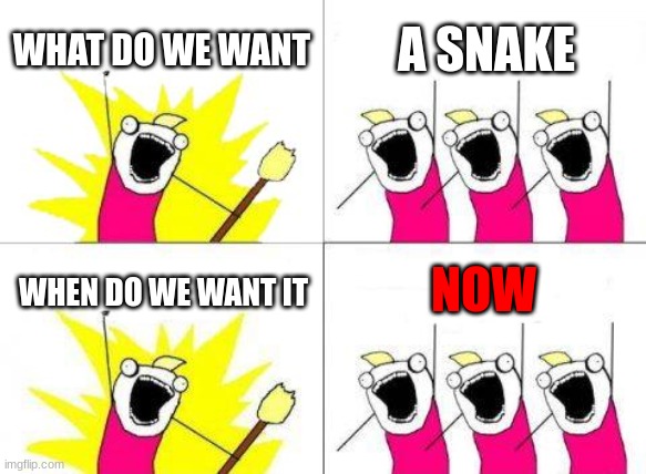 i want a snek | WHAT DO WE WANT; A SNAKE; NOW; WHEN DO WE WANT IT | image tagged in memes,what do we want | made w/ Imgflip meme maker