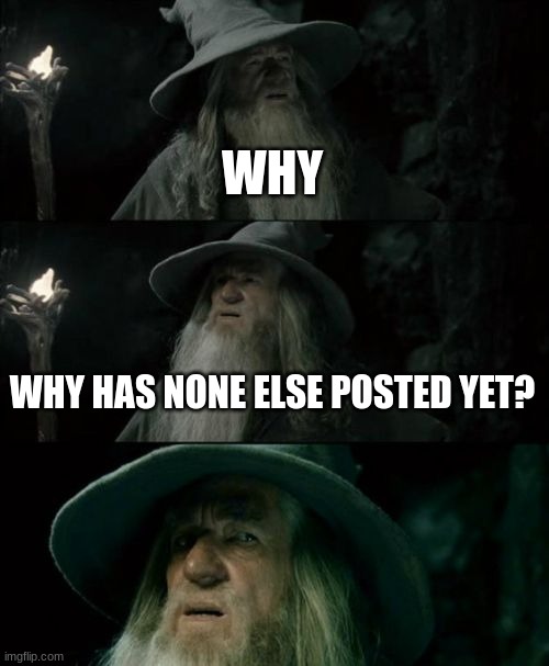 Confused Gandalf | WHY; WHY HAS NONE ELSE POSTED YET? | image tagged in memes,confused gandalf | made w/ Imgflip meme maker