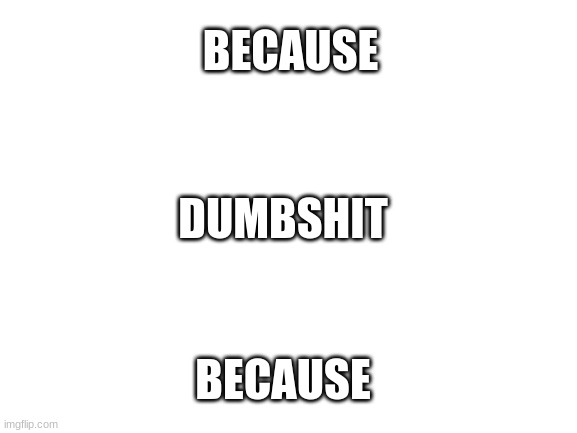 Blank White Template | BECAUSE; DUMBSHIT; BECAUSE | image tagged in blank white template | made w/ Imgflip meme maker