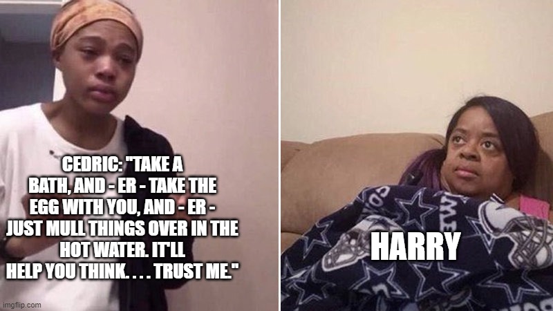 Me explaining to my mom | CEDRIC: "TAKE A BATH, AND - ER - TAKE THE EGG WITH YOU, AND - ER - JUST MULL THINGS OVER IN THE
HOT WATER. IT'LL HELP YOU THINK. . . . TRUST ME."; HARRY | image tagged in me explaining to my mom | made w/ Imgflip meme maker