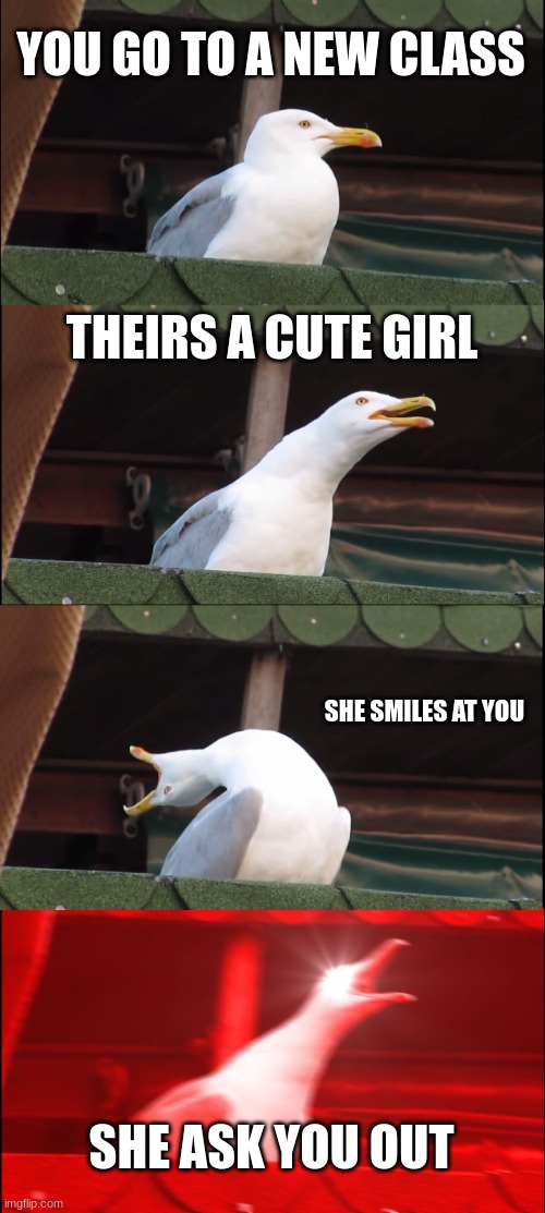 Inhaling Seagull Meme | YOU GO TO A NEW CLASS; THEIRS A CUTE GIRL; SHE SMILES AT YOU; SHE ASK YOU OUT | image tagged in memes,inhaling seagull | made w/ Imgflip meme maker