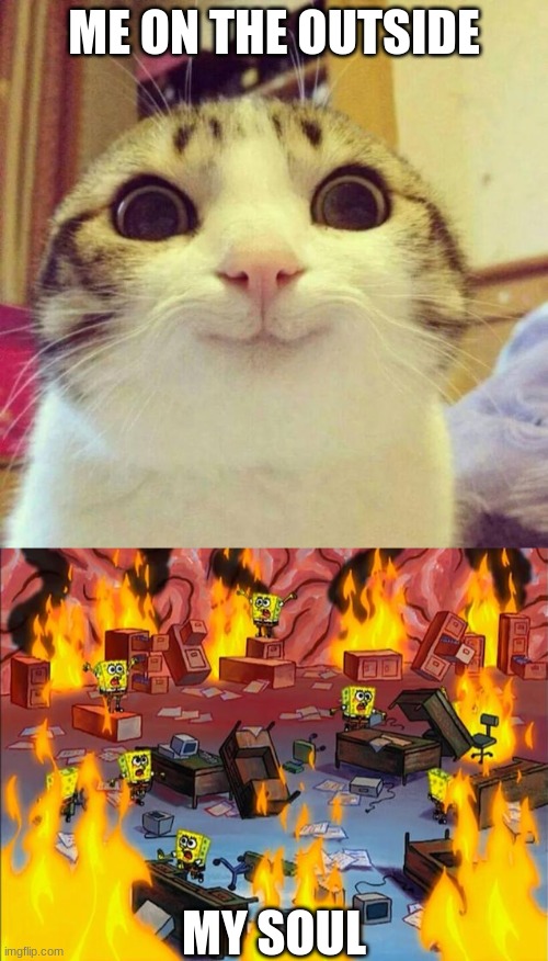 ME ON THE OUTSIDE; MY SOUL | image tagged in memes,smiling cat,spongebob fire | made w/ Imgflip meme maker