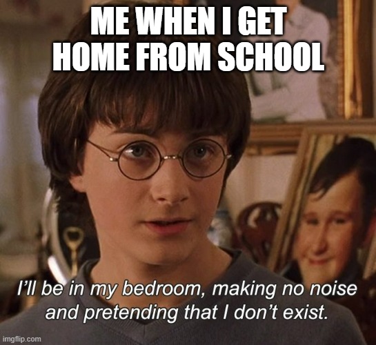Harry Potter | ME WHEN I GET HOME FROM SCHOOL | image tagged in harry potter | made w/ Imgflip meme maker