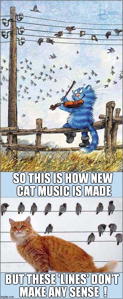 Cat Music Creation | SO THIS IS HOW NEW
 CAT MUSIC IS MADE; BUT THESE 'LINES' DON'T
 MAKE ANY SENSE  ! | image tagged in cats,music,cartoon,birds | made w/ Imgflip meme maker