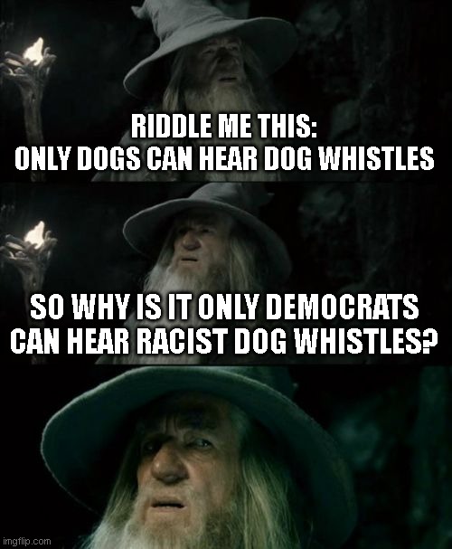 Confused Gandalf Meme | RIDDLE ME THIS:
ONLY DOGS CAN HEAR DOG WHISTLES; SO WHY IS IT ONLY DEMOCRATS
CAN HEAR RACIST DOG WHISTLES? | image tagged in memes,confused gandalf | made w/ Imgflip meme maker