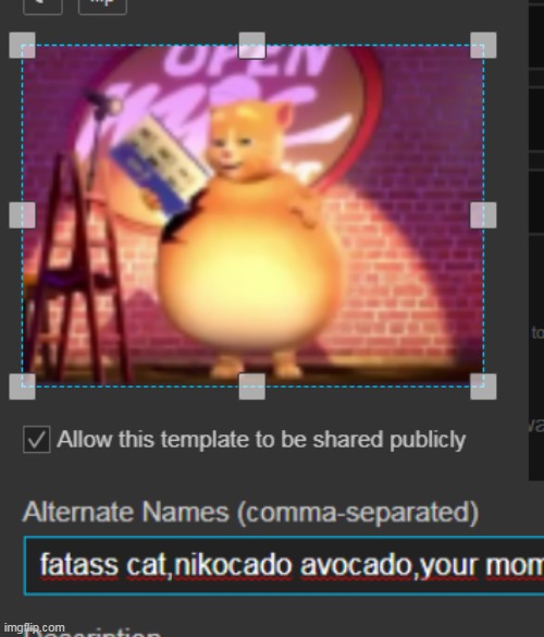 your mo | made w/ Imgflip meme maker