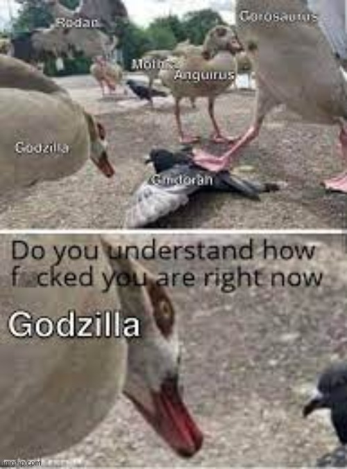 image tagged in godzilla,godzilla destroy all monsters,do you understand how fucked you are right now | made w/ Imgflip meme maker