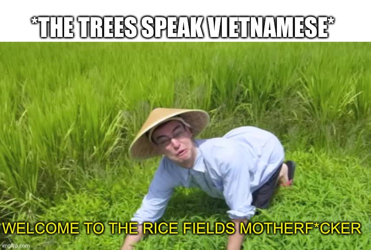 WELCOME TO THE RICE FIELDS | *THE TREES SPEAK VIETNAMESE*; WELCOME TO THE RICE FIELDS MOTHERF*CKER | image tagged in welcome to the rice fields | made w/ Imgflip meme maker