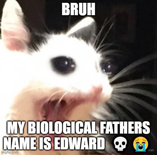 I hope you break your arm Edward <3 -Your loving biological daughter | BRUH; MY BIOLOGICAL FATHERS NAME IS EDWARD  💀😭 | image tagged in zad cat | made w/ Imgflip meme maker